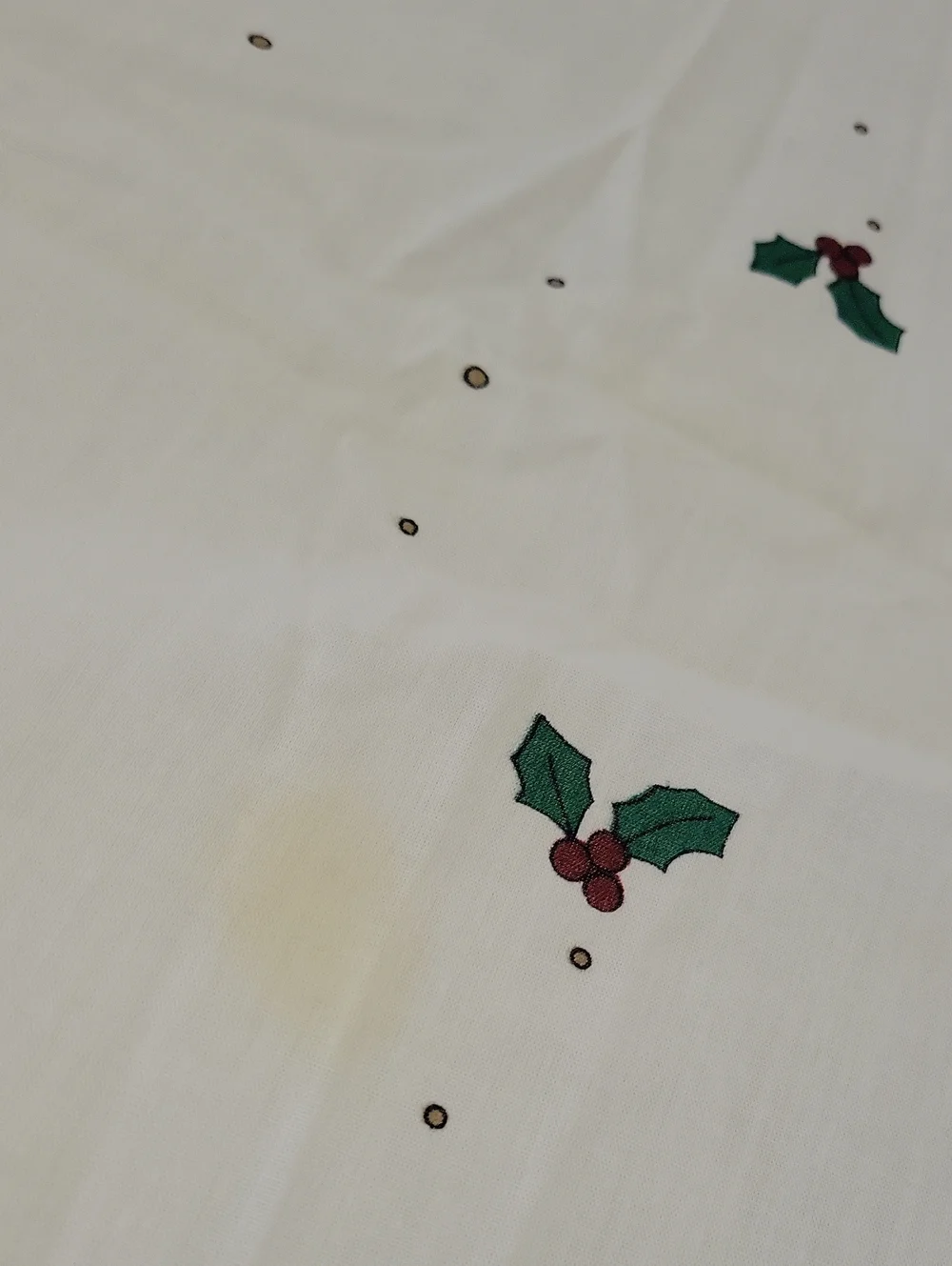 Adorable Wilderness Santa Tablecloth 59